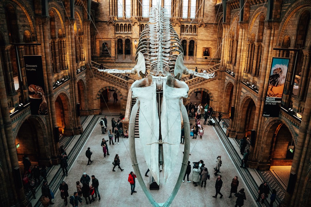 Interior of a world-class London museum with visitors exploring galleries