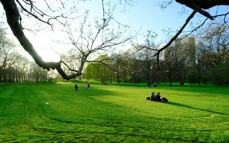 Hyde Park London on a sunny day