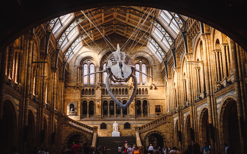 Natural History Museum London family